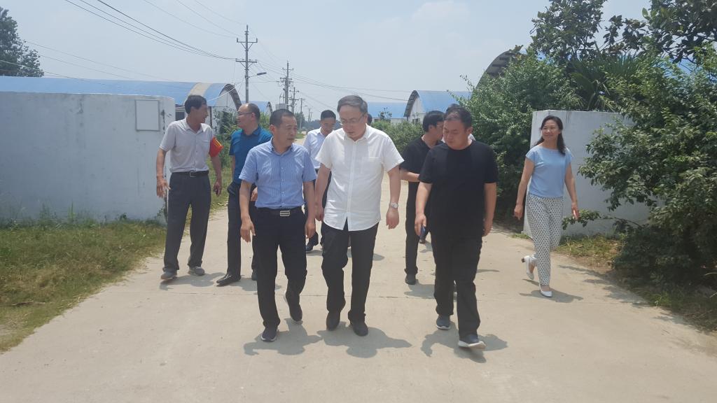 深入养牛基地调研