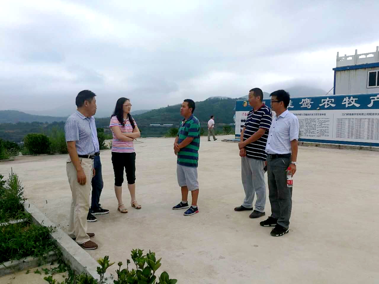 调研雏鹰农牧集团