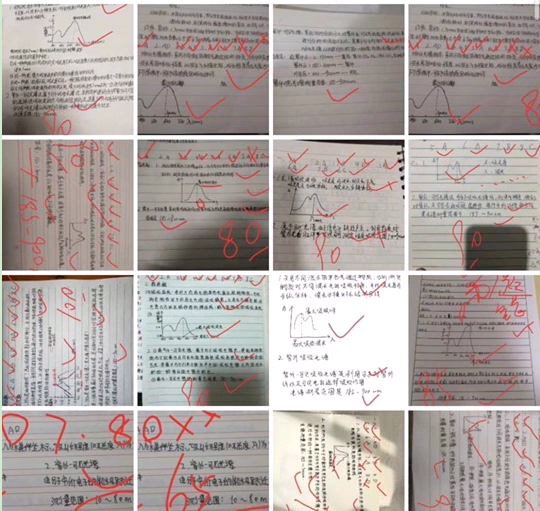 朱丽飞、许舒娅等“课前预习、课中学习与自测、课后作业与教师反馈、章节测验”四个环节作业测试