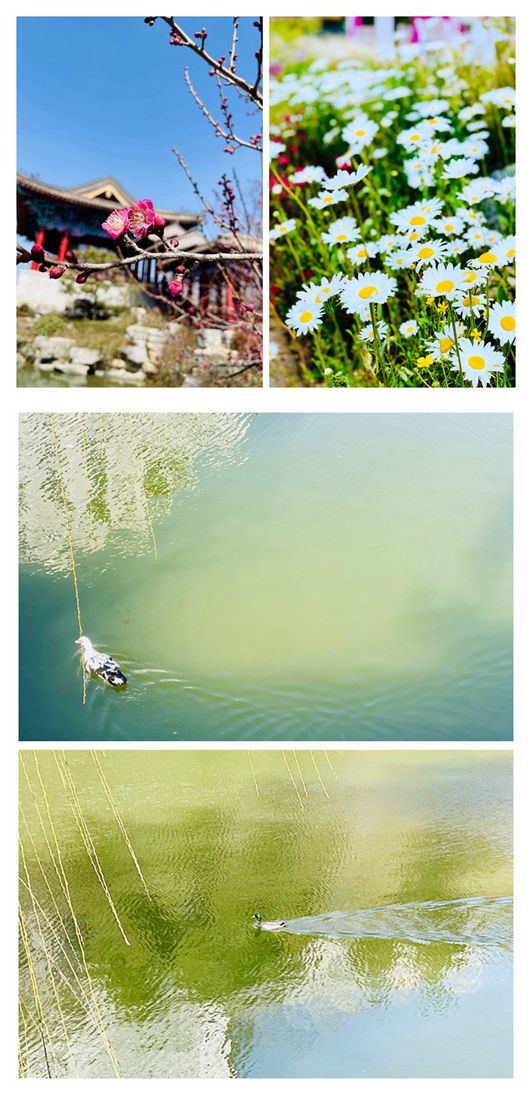 5《春日序曲》组图（作者：艺术学院 乔莉莉 